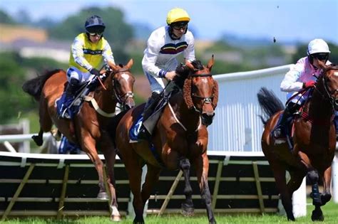 bbc news horse racing results|Newton Abbot horse fatalities not linked, says British .